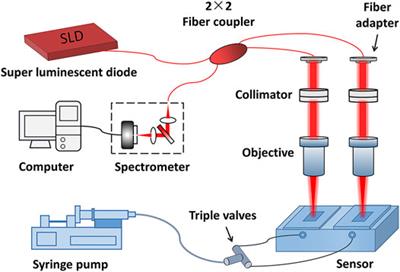 A Self-Reference Interference Sensor Based on Coherence Multiplexing